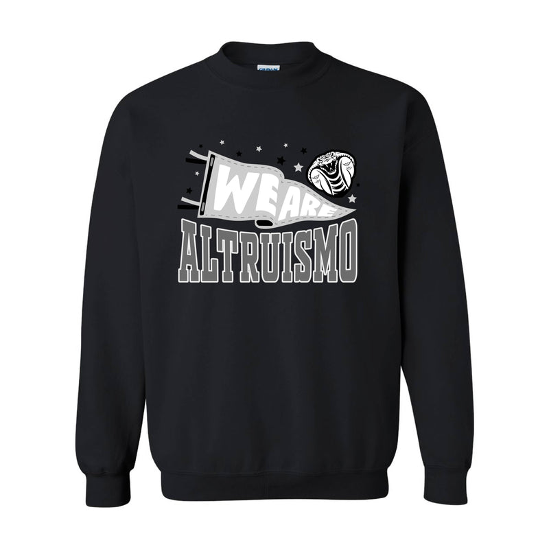 TEAM ALTRUISMO